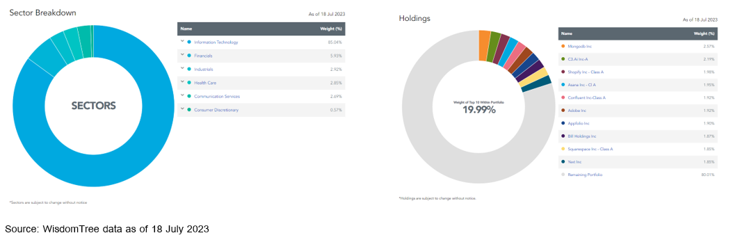 Cio's view