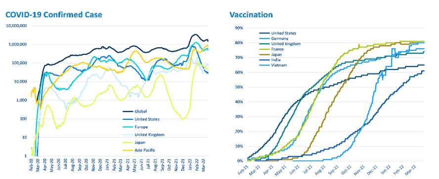 Cio's view