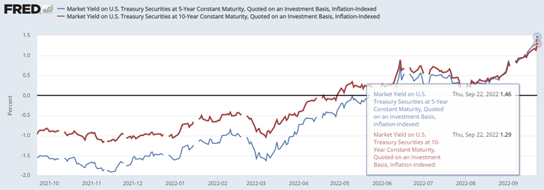 Cio's view