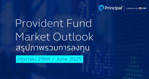 PVD monthly report
