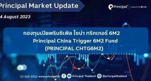 chtg_Principal Market Update template