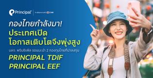 กองทุนไทย