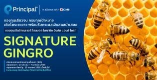 SIGNATURE GINGRO