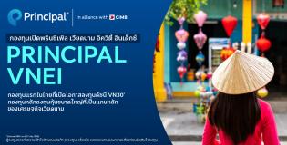 PRINCIPAL VNEI