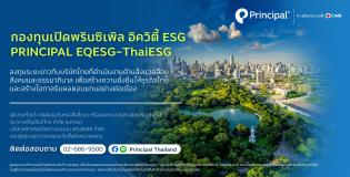 กองทุน Thaiesg