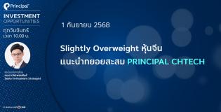 Principal Investment Opportunities