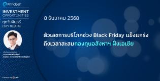 Principal Investment Opportunities