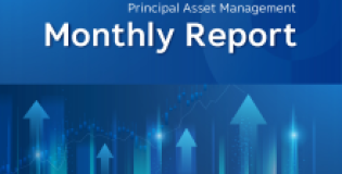 Monthly Report