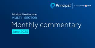 Principal Fixed Income Multi-Sector Monthly commentary