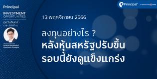 app cover 13-11-66