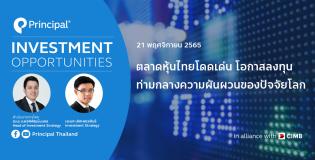 app cover 21-11-65