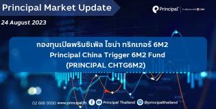 chtg_Principal Market Update template